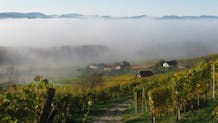 Cvitanič